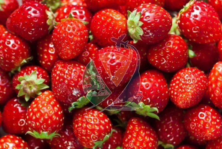 Fresh Red Strawberry