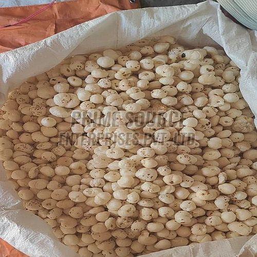 7 Suta Phool Makhana