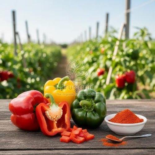 Spray Dried Capsicum Powder