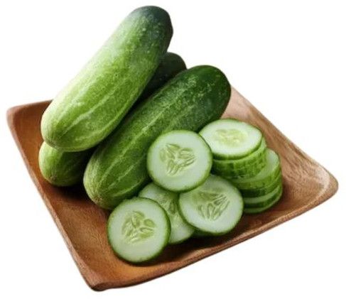 Fresh Organic Cucumber
