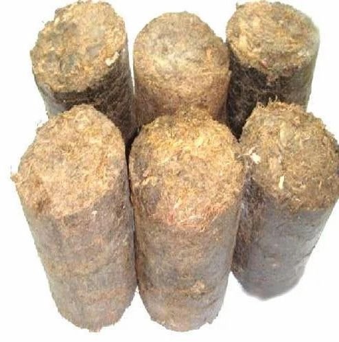 Paddy Husk Biomass Briquettes