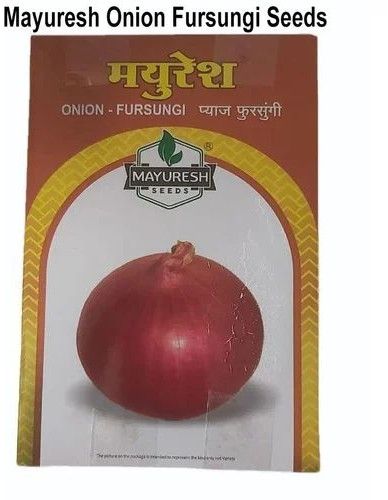 500gm Fursungi Red Onion Seeds