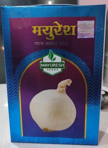 500gm White Onion Seeds