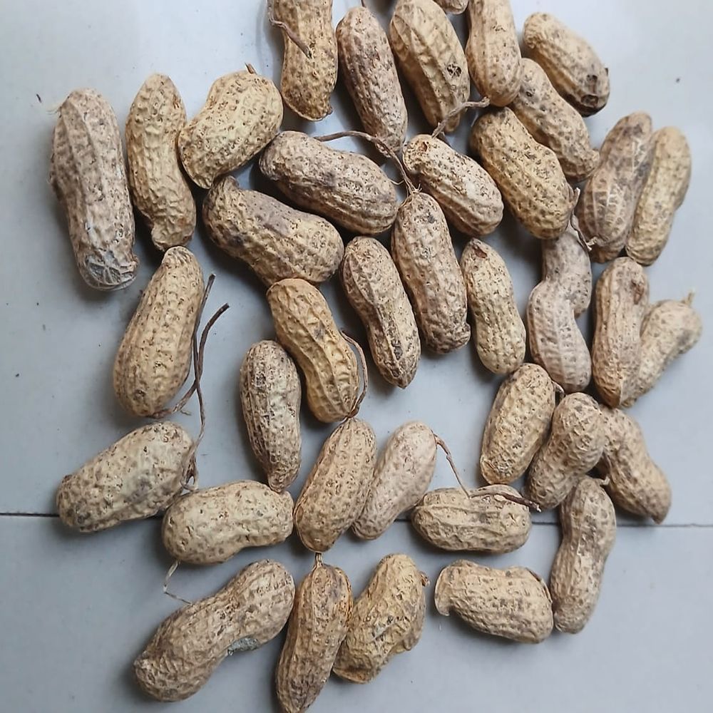 Shelled Groundnuts
