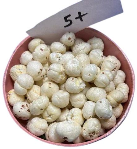 5 Plus Suta Raw Makhana