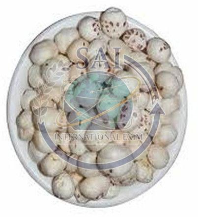 6 Suta Phool Makhana