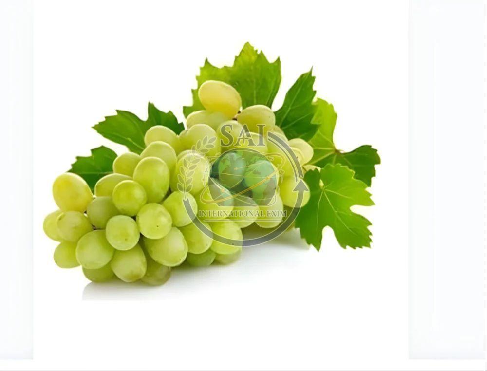 A Grade Fresh Green Grapes