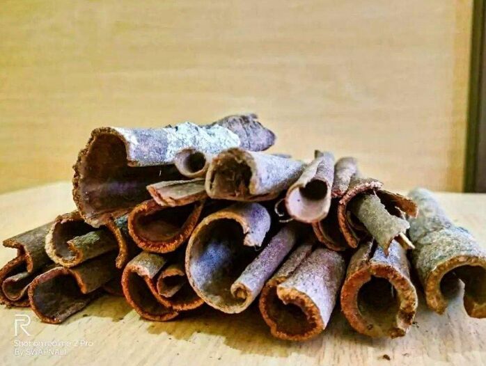 Dried Ceylon Cinnamon