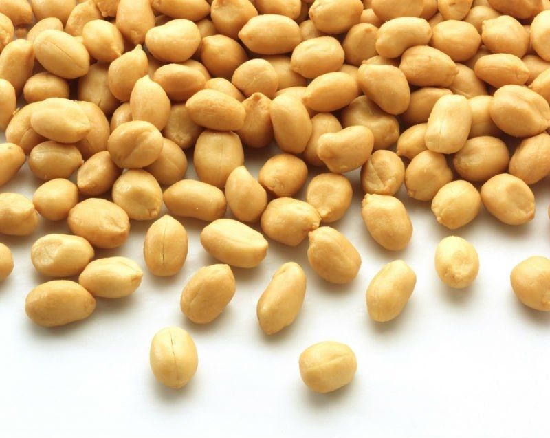 Plain Roasted Peanuts