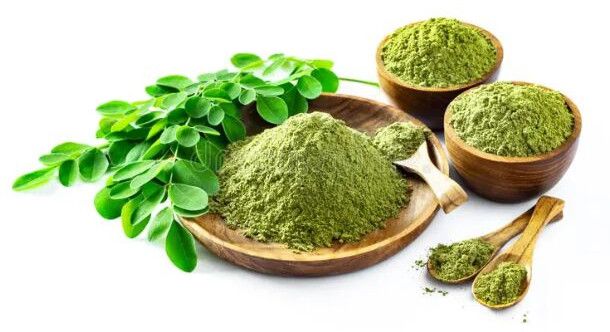Organic Moringa Powder