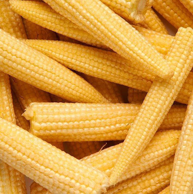Fresh Baby Corn