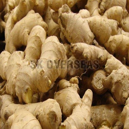 Fresh Brown Ginger