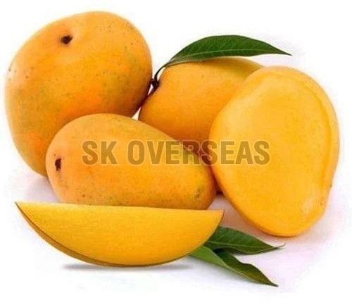 Fresh Alphonso Mango Fresh Alphonso Mango