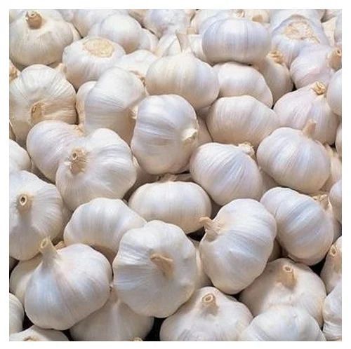 A Grade White Garlic