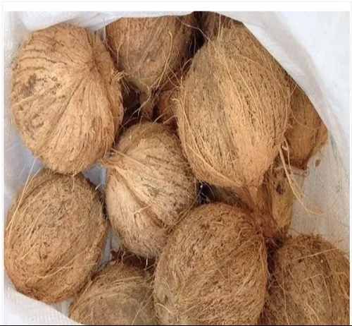 Semi Husked Coconut