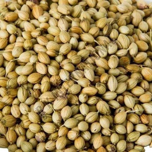 Coriander Seeds