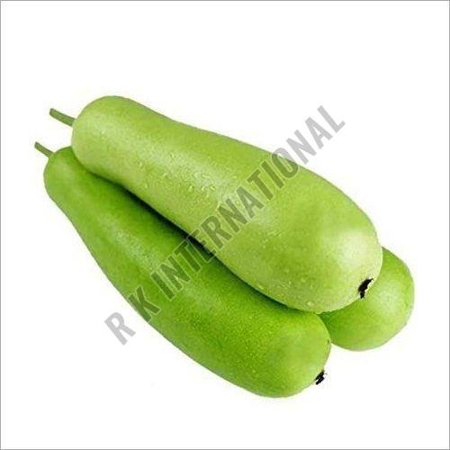 Fresh Bottle Gourd