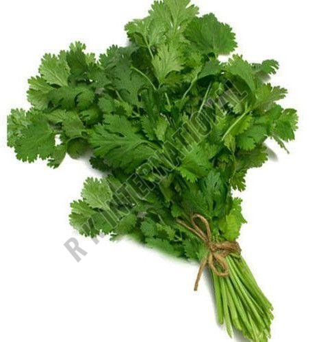 Fresh Coriander Leaves