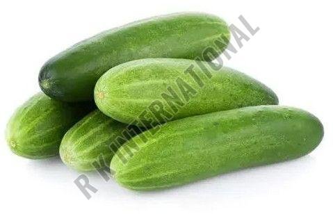 Fresh Cucumber