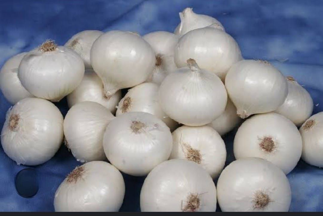 Fresh White Onion