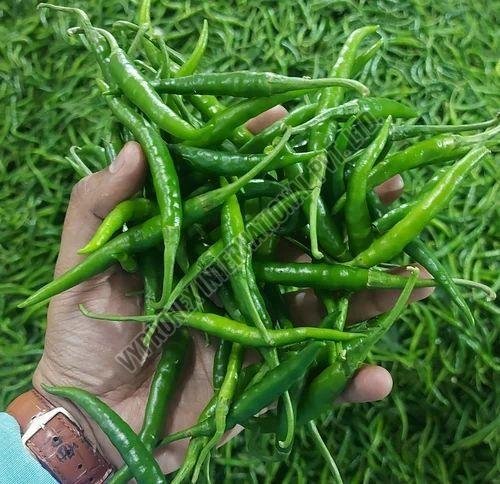 A Grade Green Chilli