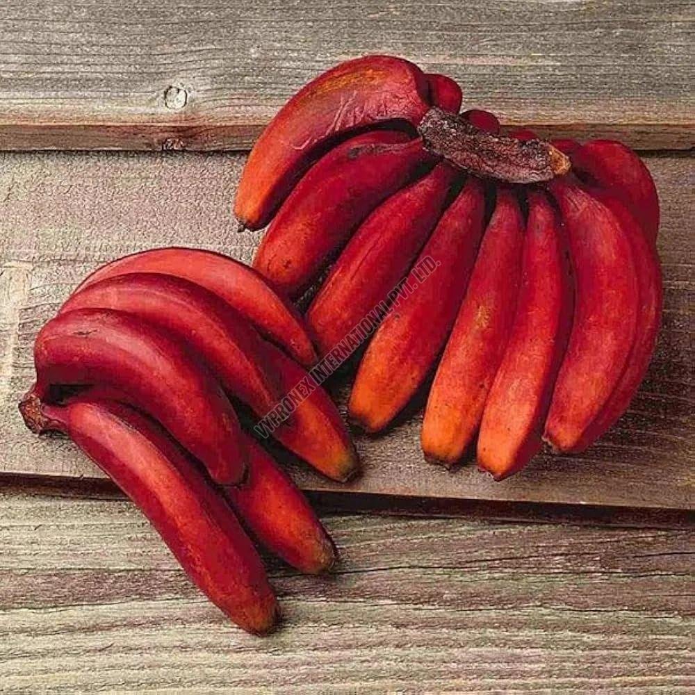 A Grade Red Banana