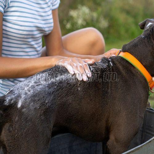 Concentrated Cattle Wash For Pets