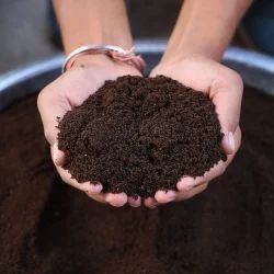 Premium Plant Nutrition Compost