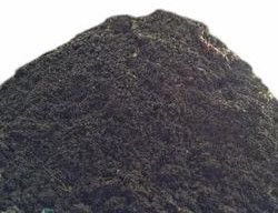 Pure Cow Dung Vermicompost