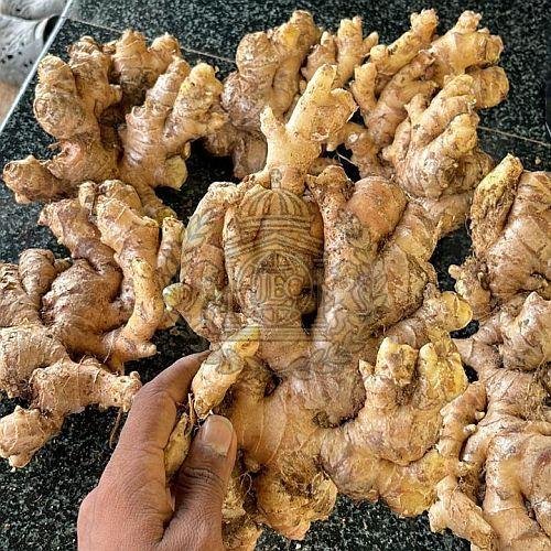 A Grade Fresh Ginger