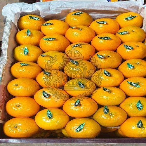 A Grade Fresh Orange