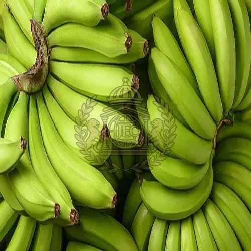 A Grade G9 Green Banana