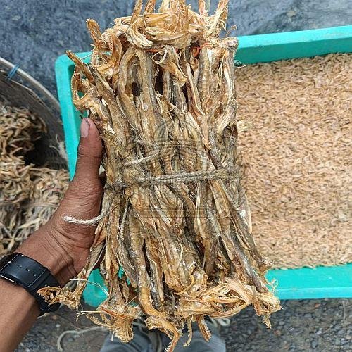 Bombay Duck Dry Fish