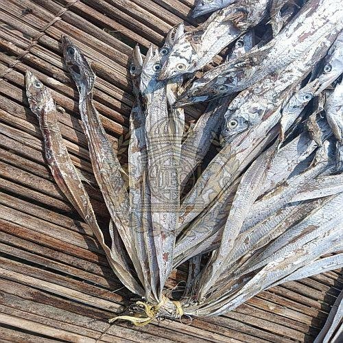 Premium Sun-Dried Large Ribbon Fish