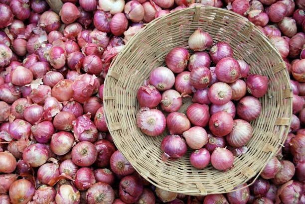 Fresh Red Onion