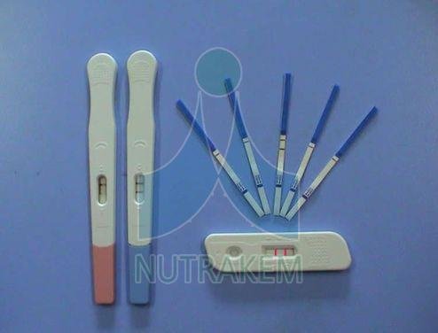 Urine Pregnancy Test Kit