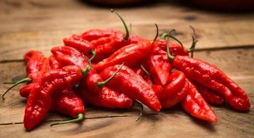 Assam Fresh Ghost Chilli
