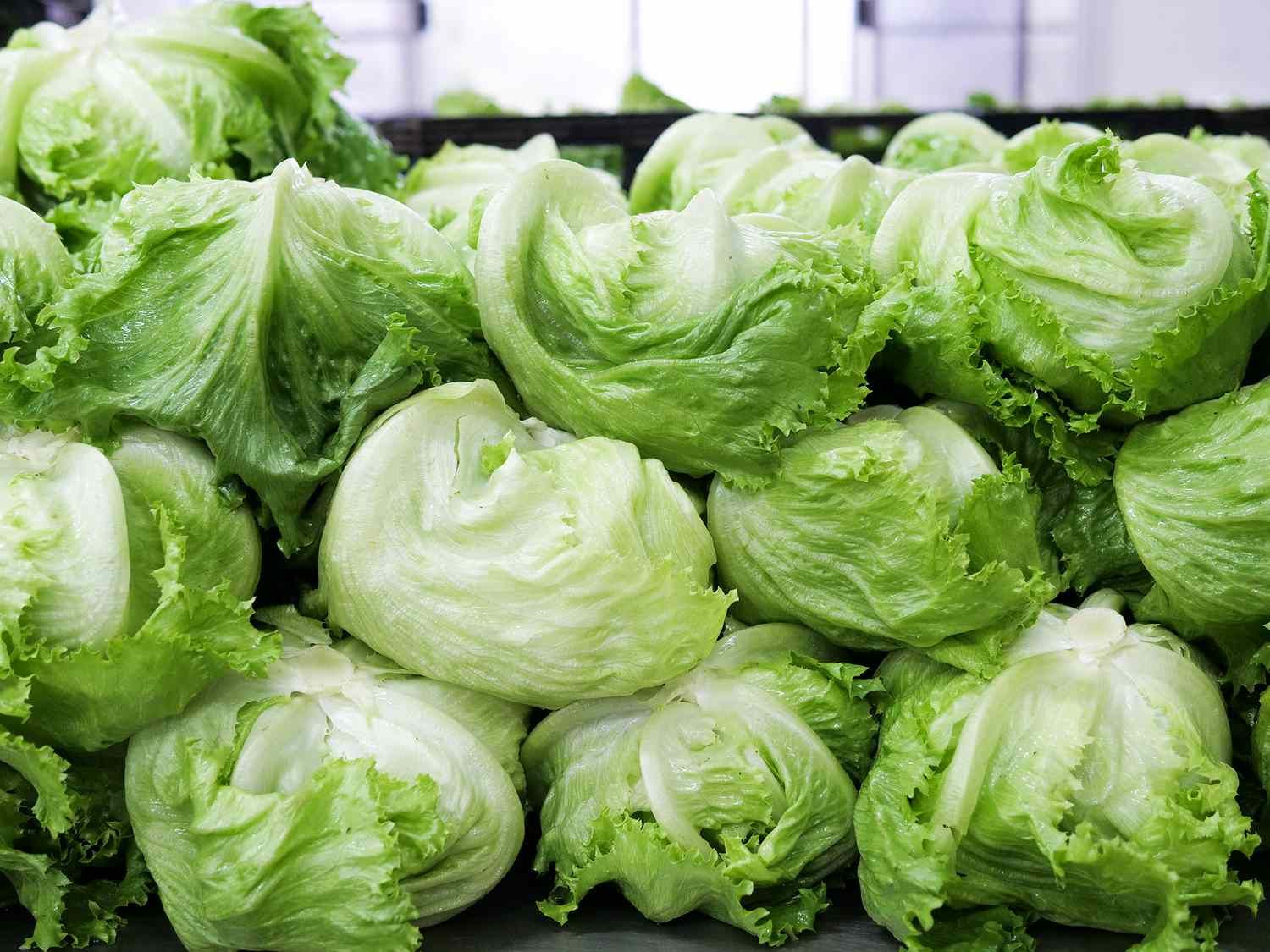 Fresh Iceberg Lettuce