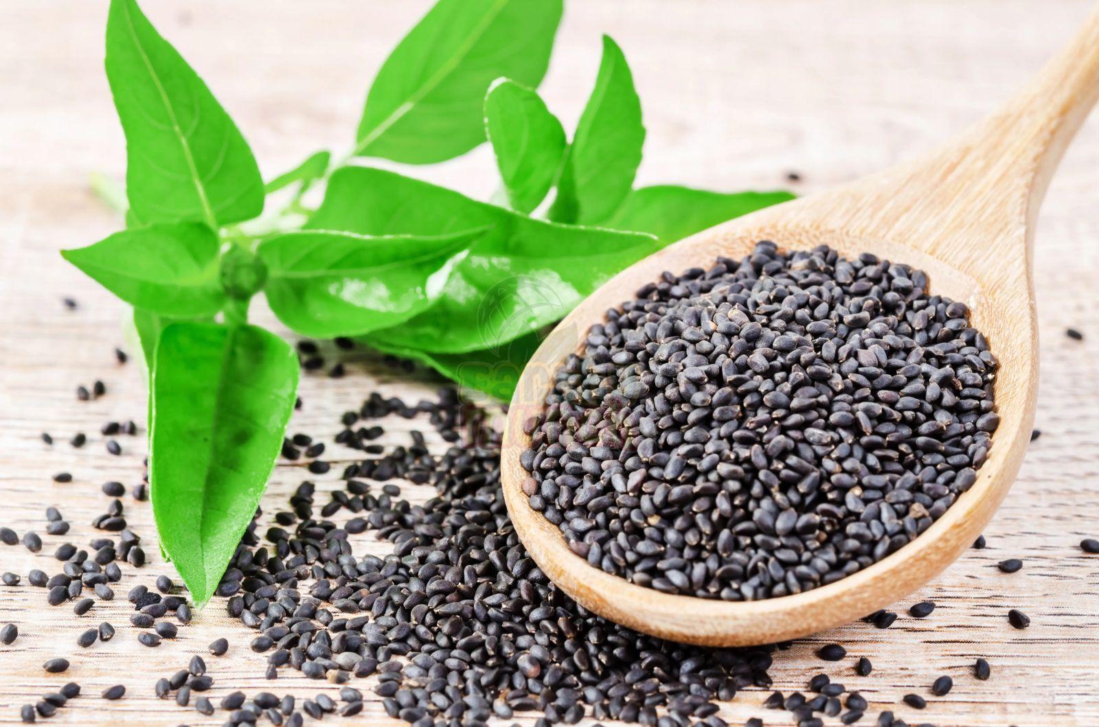 Basil Seeds