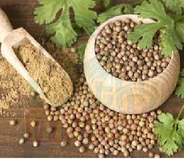 Coriander Seeds