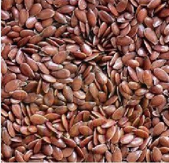 Flax Seeds
