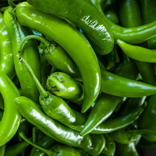 Fresh Green Chilli