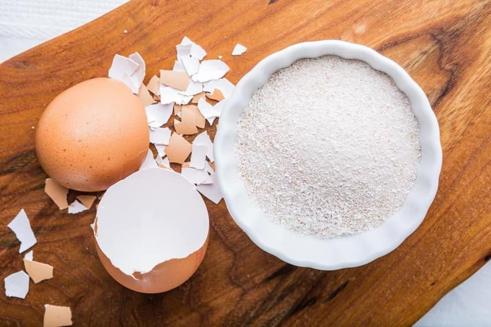 Brown Egg Shell Powder