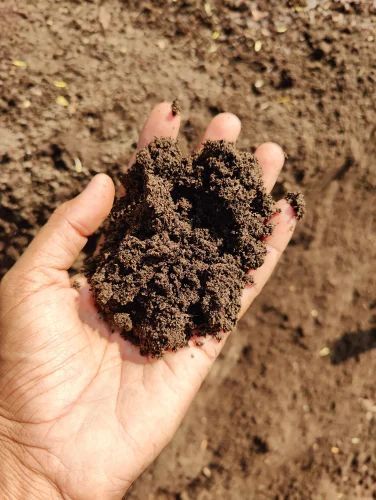 Brown Cow Dung Powder