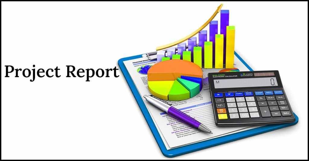 Project Report Preparation Service