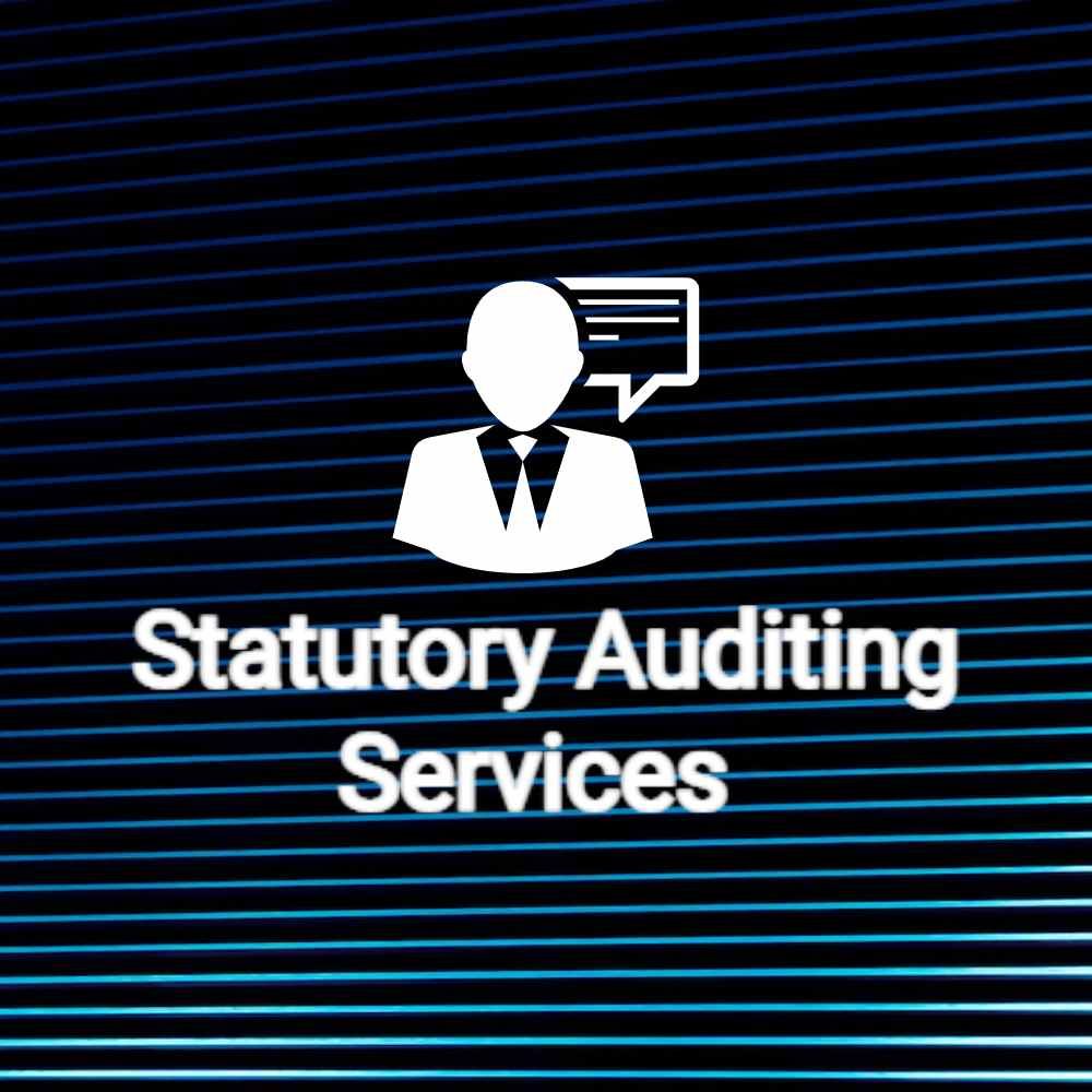 Statutory Financial Audit Service