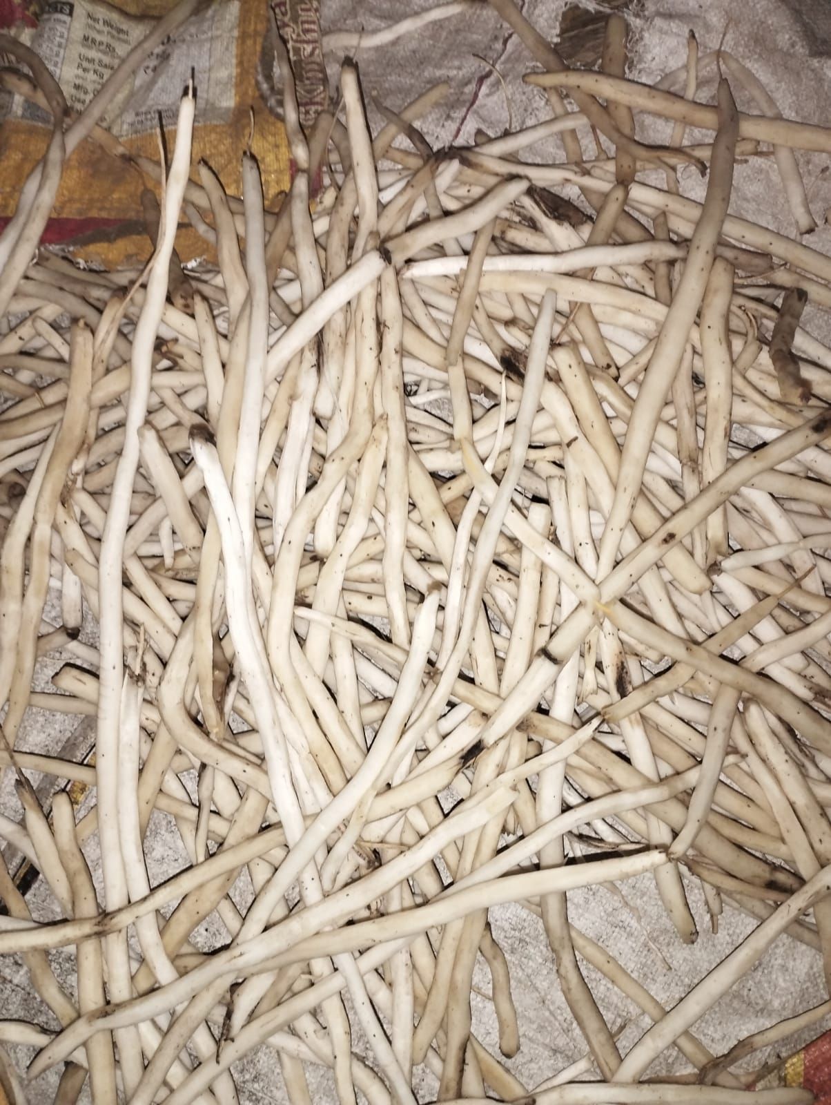 Natural Shatavari Roots