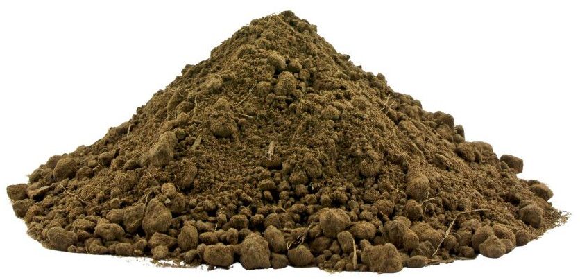 Cow Dung Powder