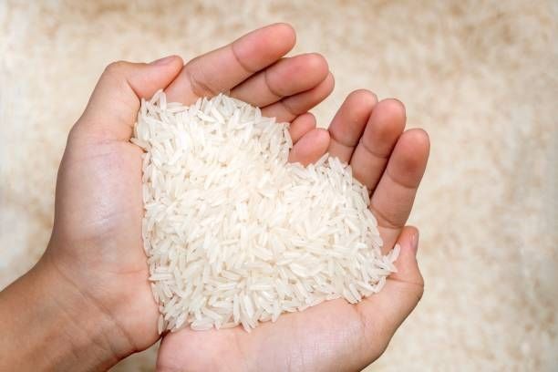 Premium Indian Basmati Rice