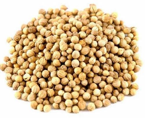 Aromatic Coriander Seeds